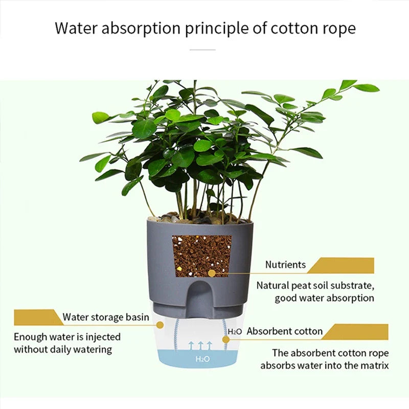 HydraPlant™ Self Watering Pot