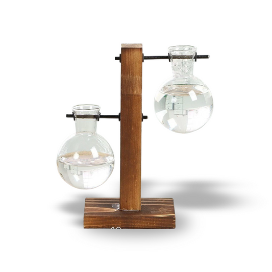 PlantBloom™ Bulb Glass Hydroponic Plant Vase