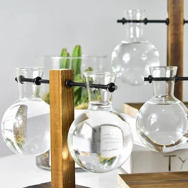 PlantBloom™ Bulb Glass Hydroponic Plant Vase