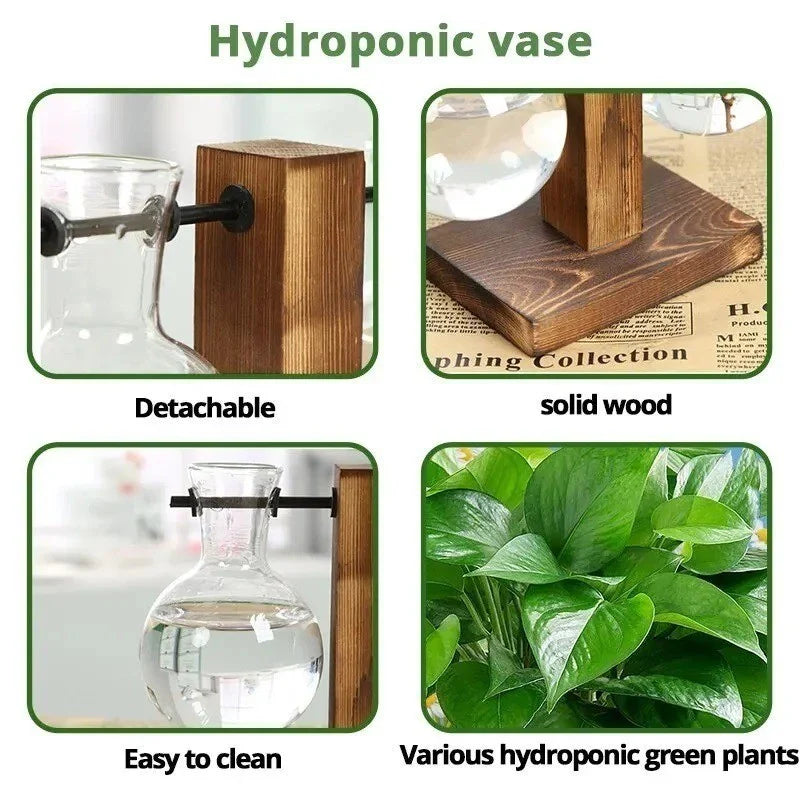PlantBloom™ Bulb Glass Hydroponic Plant Vase