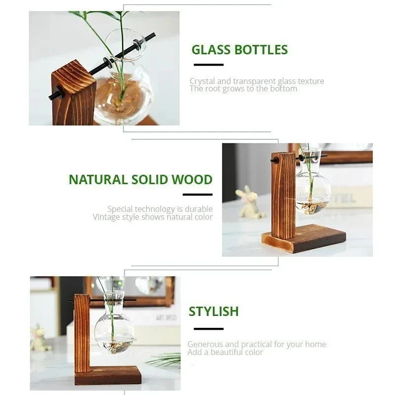 PlantBloom™ Bulb Glass Hydroponic Plant Vase